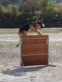 �x�@���@�V�F�p�[�h�@�n�[�h���@���Z��