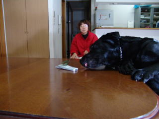 ����@�w�����ꂽ���̂��E��