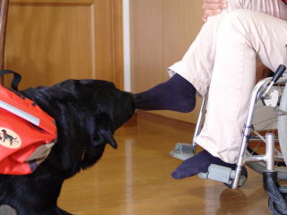 ����@�E�߂̕⏕