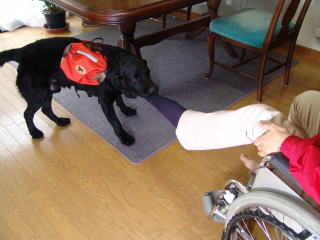 �C���E�����̂͊y�������