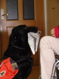 ����@�w�����ꂽ���̂��E��