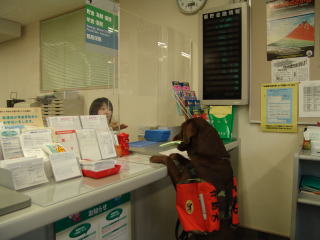 ����@�J�E���^�[�ł̎󂯓n��