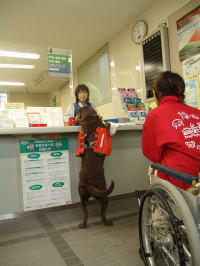 �n�K�L���o������