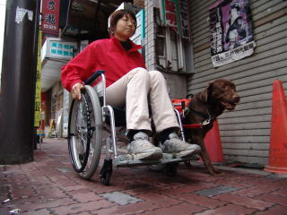 ����琬�c�́@���s�P�A�h�b�O�X�e�[�V����