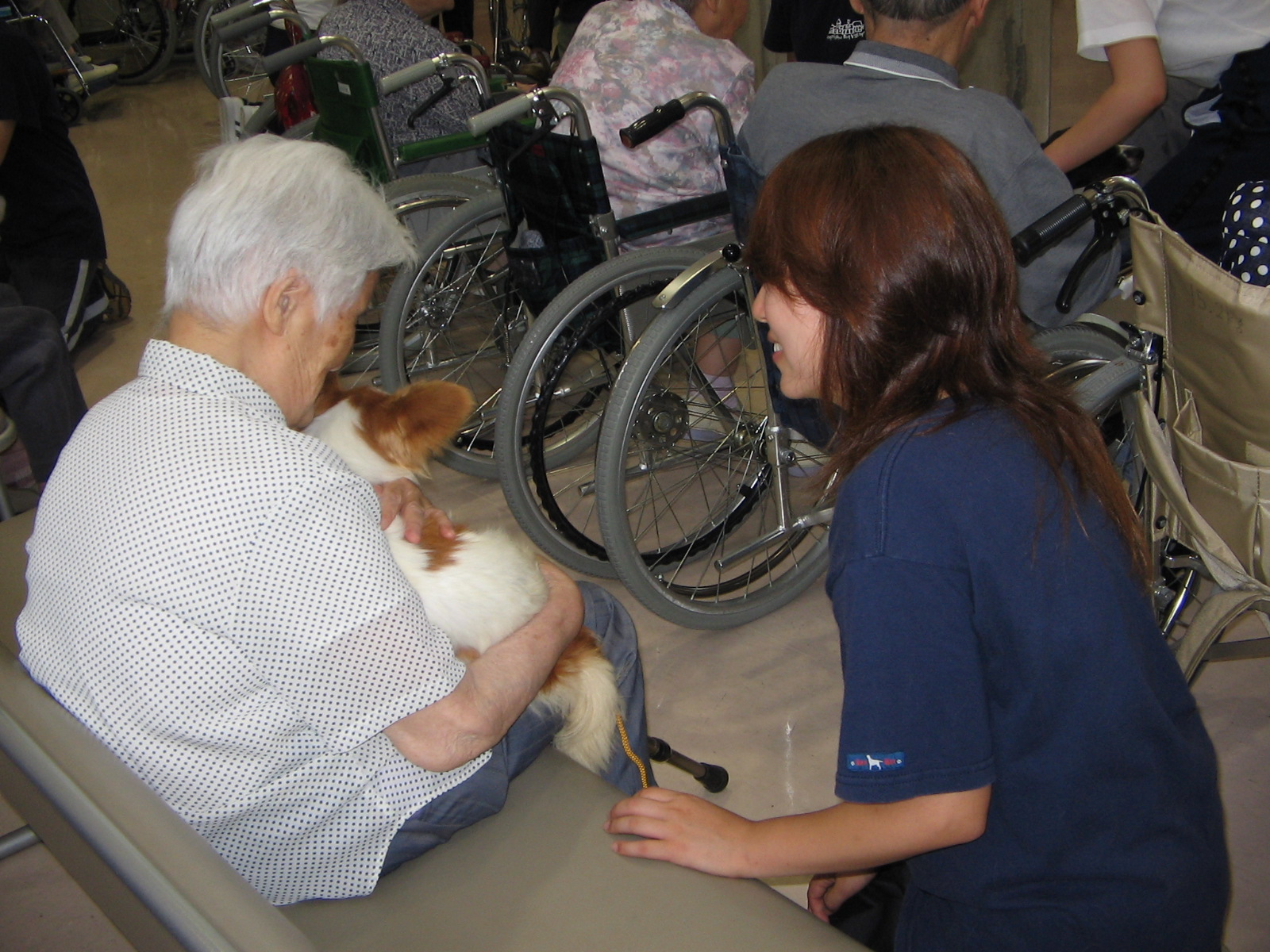 �V�l�z�[���K��