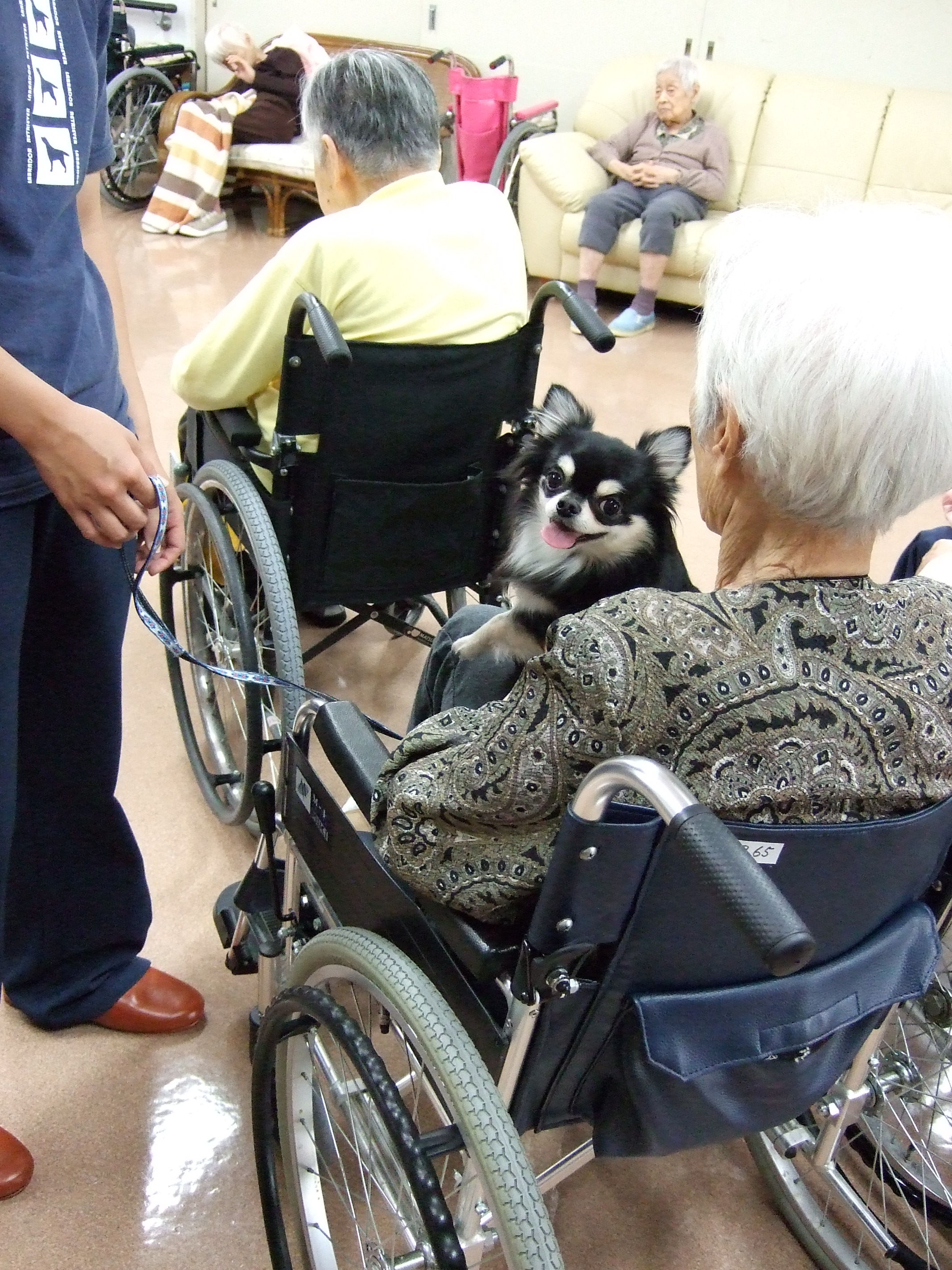 �V�l�z�[���K��