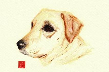 ����@����ۂ�